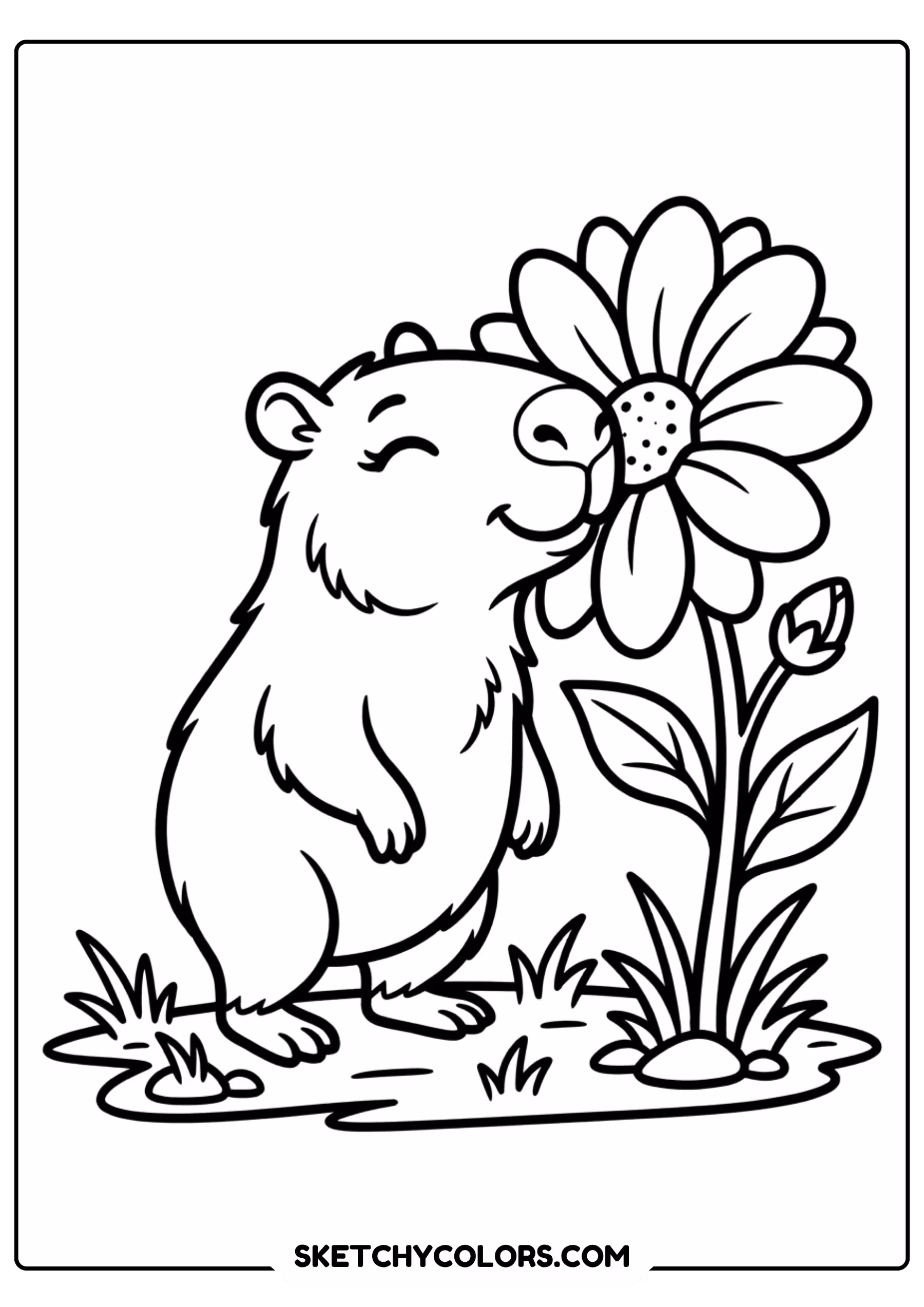 capybara coloring pages free printable - majestic capybara with sunflower