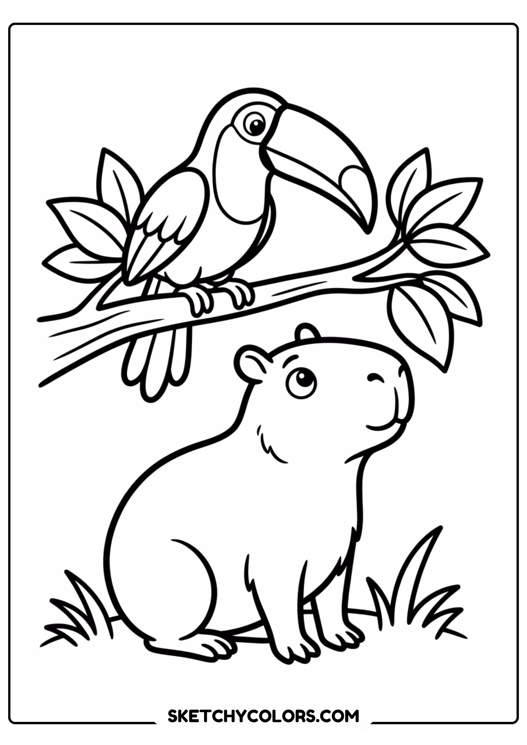 capybara toucan bird free printable coloring page for kids